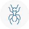 Ant Removals In Wimborne