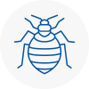 Bed Bug Extermination In Wimborne