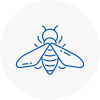 Bee Nest Removal Wimborne