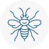 Wimborne Hornet Nest Removals