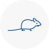 Mice Exterminators In Wimborne