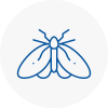 Moth Control Specialists In Wimborne