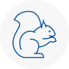 Wimborne Rodent Removals